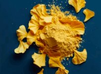 Ginkgo Biloba Powder